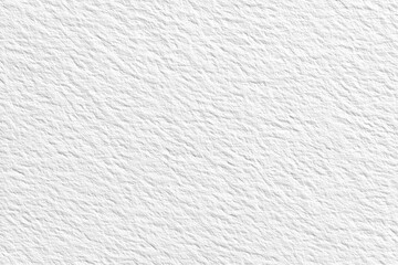 A white paper textured background with fine grain and a matte surface, ideal for editorial layouts and clean minimal designs.
