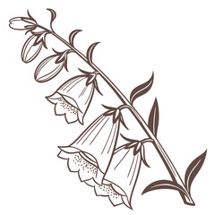 foxglove camelot cream vector