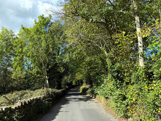 Bradley Road winds through tall trees and lush greenery, sunlight flickering gently above Keighley, Yorkshire, UK