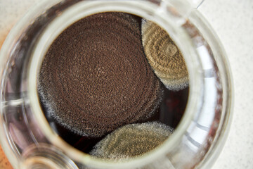 Two different types of mold in a glass teapot