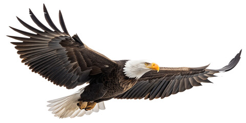 Fototapeta premium Bald Eagle PNG – Realistic Flying American Eagle on Transparent Background