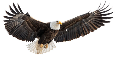 Obraz premium Bald Eagle PNG – Realistic Flying American Eagle on Transparent Background