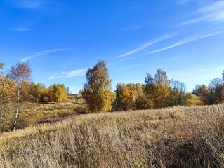 Autumn Meadow Landscape with Trees and Blue Sky. Dry grass, autumn trees with yellow leaves, blue sky, light clouds, open field. Suitable for seasonal editorials, nature blogs, environmental articles