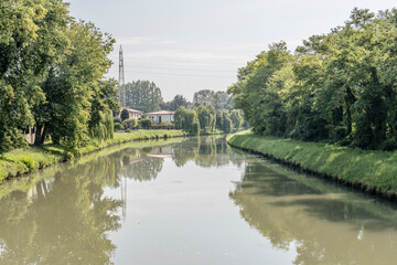 lush vegetation on Brenta canal banks, near Stra, Italy