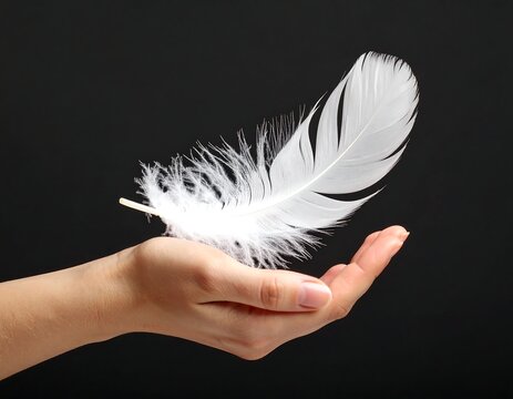 A delicate white feather held gently in a hand