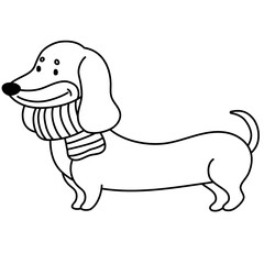 Dachshund Dog Wearing Scarf Coloring Page Illustration