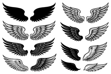 Set of detailed angel wings and feathered wing illustrations in black engraving style, Transparent Background 