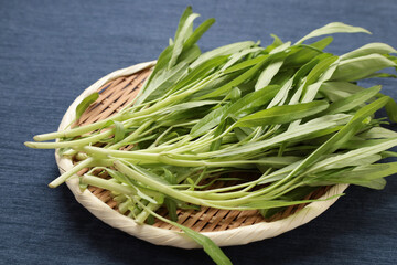 サラダエンサイ