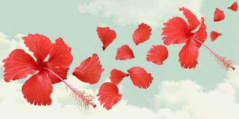 Beautiful red hibiscus flying with the sky and clouds in the background. with vintage color and grainy texture.