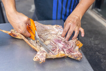Person cutting roasted guinea pig with kitchen scissors on a metal table, a typical Andean dish from Ecuador. Traditional gastronomic scene reflecting culture and authentic flavors of the Andes.