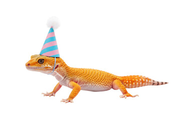 Isolated leopard gecko wearing a party hat in studio, animal celebration moment