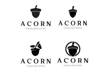 Elegant Acorn Symbol with Text for Luxury Nature Brand Identity and Modern Label Design