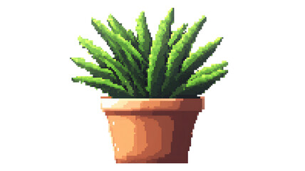 Pixel art succulent plant in pot isolated on transparent background