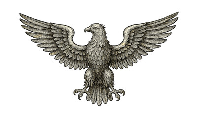 Obraz premium Ornamental eagle etching design - intricate bird illustration for artistic and decorative use