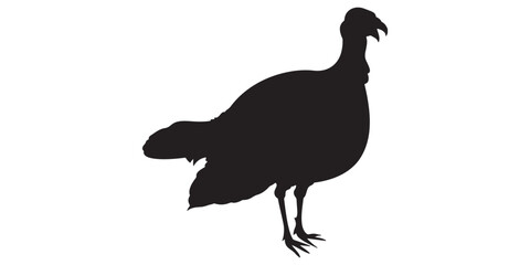 Turkey Silhouette Vector Illustration – Wild Bird Design