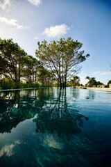 edificios y piscinas 