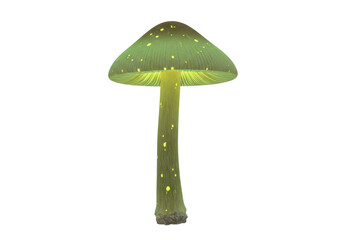 Isolated mushroom with bioluminescent properties on a neutral background for design projects