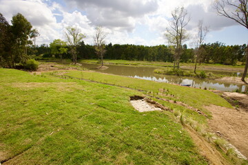 piscina al verano y al sol 