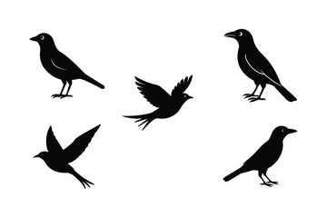Obraz premium Set of different linocut styles of broad billed roller