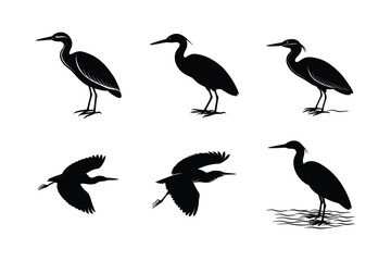 Set of different linocut styles of green heron