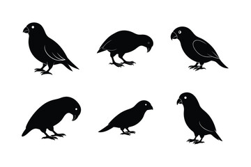 Set of different linocut styles of kakapo