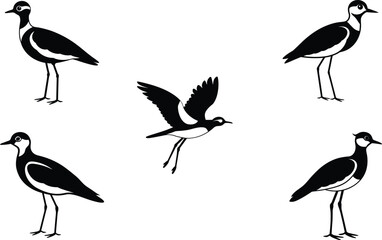 Fototapeta premium Set of different linocut styles of lapwing