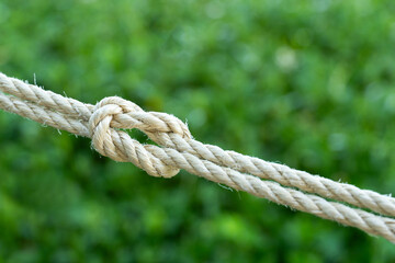 Fototapeta premium Close-up of strong hemp rope tied in a knot with blurred green nature background. Concept of strength, security, unity, resilience, teamwork, and stability in outdoor survival and business life.