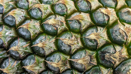 Fototapeta premium Abstract texture of pineapple skin. Close-up background of pineapple skin, natural tropical pattern. Patterned fruit banner.