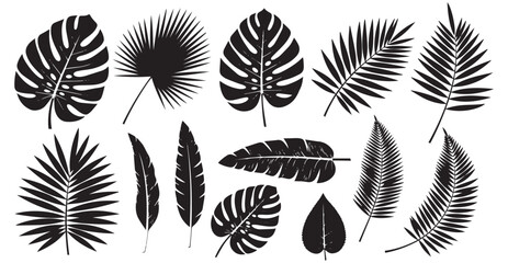 Collection of diverse tropical palm leaf silhouettes with intricate veining patterns isolated on transparent background