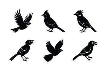 Set of different linocut styles of crested barbet