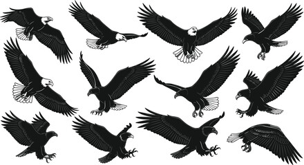 Eagle silhouette collection, black and white bird illustration, flying and landing poses, bald eagle artwork, wildlife motion design, freedom symbol concept