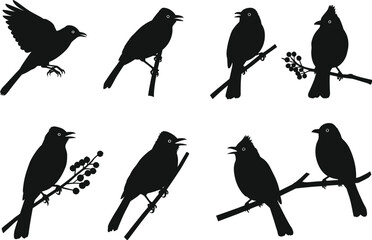 Obraz premium Bird silhouette vector set, perched and flying birds on branches, nature wildlife clipart, black isolated shapes, decorative design elements