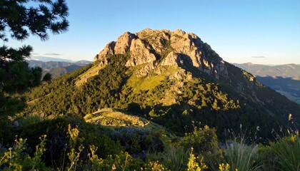 Sunny mountain peak amidst trees and vegetation under a clear sky on a bright day