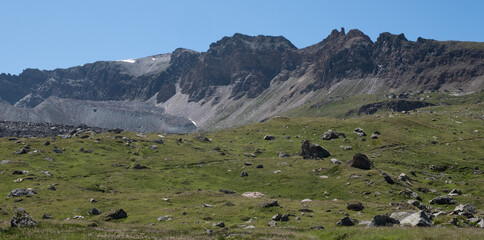 Natural variety found in an Alpine valley. Europe.
They were mainly taken in the Gran Paradiso valley, Italy. They were taken during a 7-day hike. From 1800 to 3100 meters altitude. 