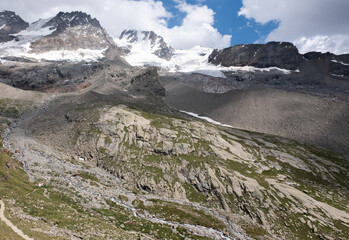 Natural variety found in an Alpine valley. Europe.
They were mainly taken in the Gran Paradiso valley, Italy. They were taken during a 7-day hike. From 1800 to 3100 meters altitude. 