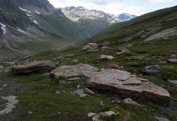 Natural variety found in an Alpine valley. Europe.
They were mainly taken in the Gran Paradiso valley, Italy. They were taken during a 7-day hike. From 1800 to 3100 meters altitude. 