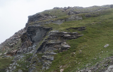 Natural variety found in an Alpine valley. Europe.
They were mainly taken in the Gran Paradiso valley, Italy. They were taken during a 7-day hike. From 1800 to 3100 meters altitude. 
