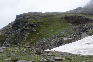 Natural variety found in an Alpine valley. Europe.
They were mainly taken in the Gran Paradiso valley, Italy. They were taken during a 7-day hike. From 1800 to 3100 meters altitude. 
