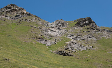 Natural variety found in an Alpine valley. Europe.
They were mainly taken in the Gran Paradiso valley, Italy. They were taken during a 7-day hike. From 1800 to 3100 meters altitude. 
