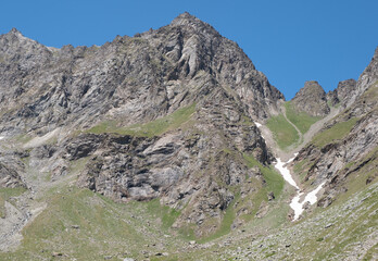 Natural variety found in an Alpine valley. Europe.
They were mainly taken in the Gran Paradiso valley, Italy. They were taken during a 7-day hike. From 1800 to 3100 meters altitude. 