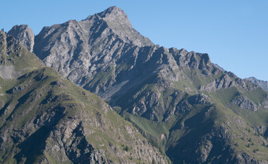 Natural variety found in an Alpine valley. Europe.
They were mainly taken in the Gran Paradiso valley, Italy. They were taken during a 7-day hike. From 1800 to 3100 meters altitude. 