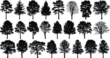 Tree silhouette collection, black and white forest illustration, diverse tree shapes, nature design elements, botanical art, seasonal foliage concept, landscape vegetation icons