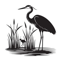 Heron Feeding Chick In Marsh Silhouette