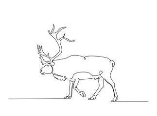 Reindeer in single outline illustration. Continuous line art drawing of wild reindeer. Editable stroke.