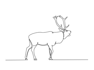 Reindeer in single outline illustration. Continuous line art drawing of wild reindeer. Editable stroke.
