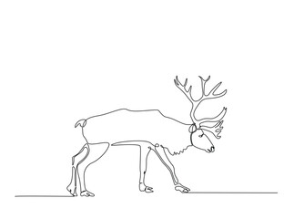 Reindeer in single outline illustration. Continuous line art drawing of wild reindeer. Editable stroke.