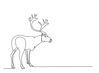 Reindeer in single outline illustration. Continuous line art drawing of wild reindeer. Editable stroke.