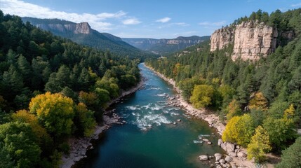 Aerial View of Blue River Canyon Surrounded by Dense Forest Under Bright Blue Sky
