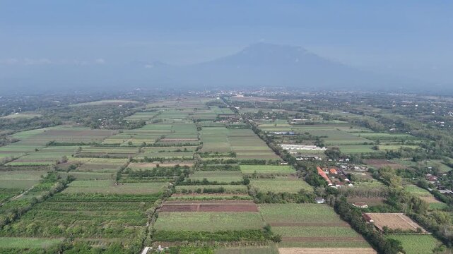 Dramatic Aerial Descent: Mount Lawu to Young Sugarcane Fields
