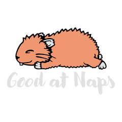 Good at Naps Hamster Rodent Pet Tired Animal Sleeping